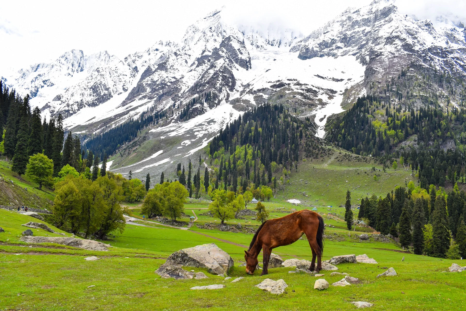 Day 4: Gulmarg → Pahalgam (140 km / 4.5 hrs) – Valley of Shepherds