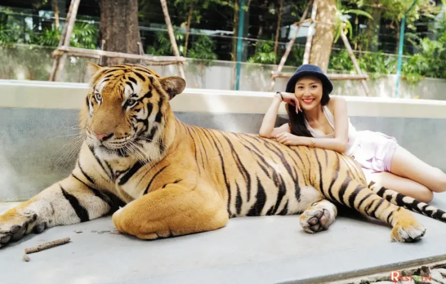 5 Nights / 6 Days Thailand Tour