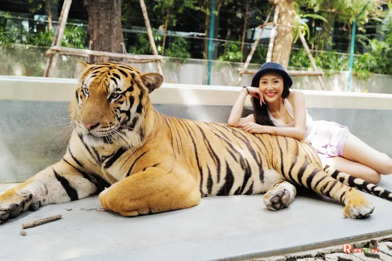 Day 5: Bangkok at Leisure – Optional Floating Market / Shopping