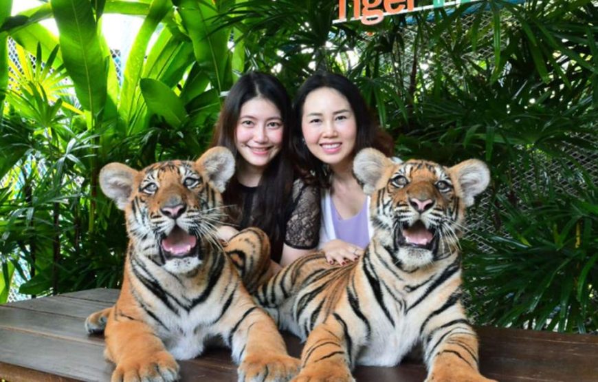 5 Nights / 6 Days Thailand Tour