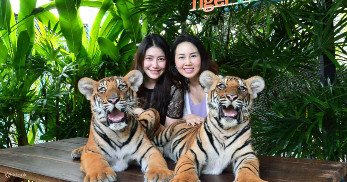 Day 3: Phuket City Tour & Transfer to Krabi