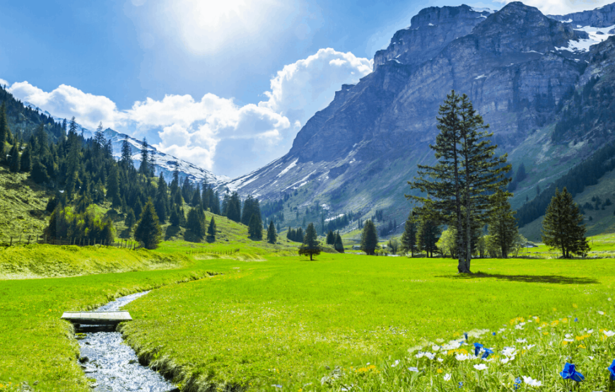 5 Nights & 6 Days Kashmir Tour