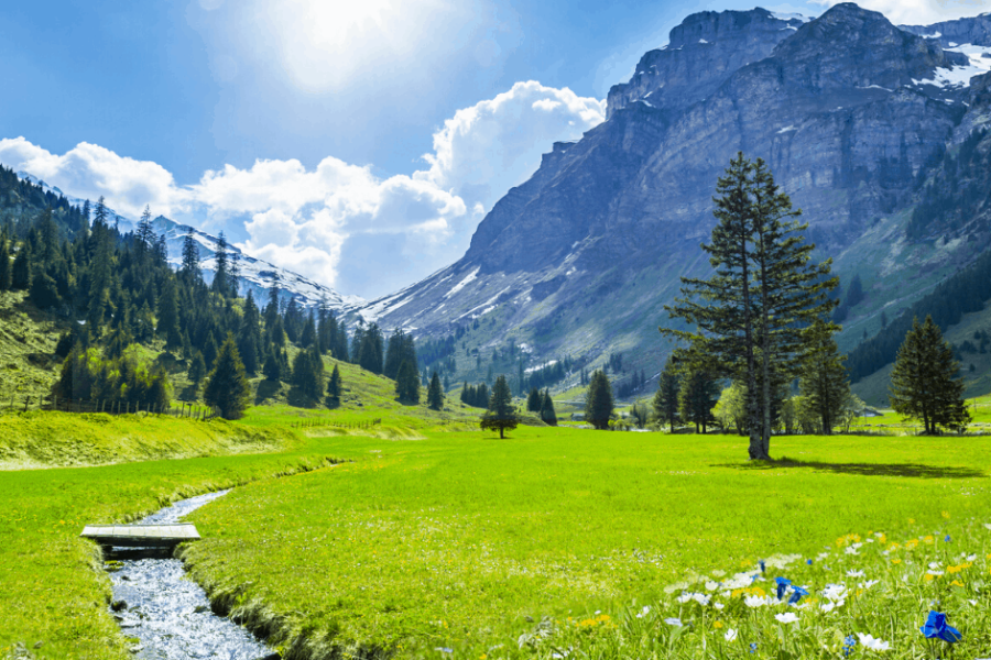 5 Nights / 6Days Kashmir Tour