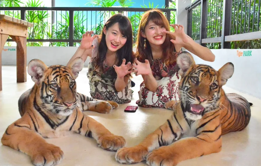 5 Nights / 6 Days Thailand Tour