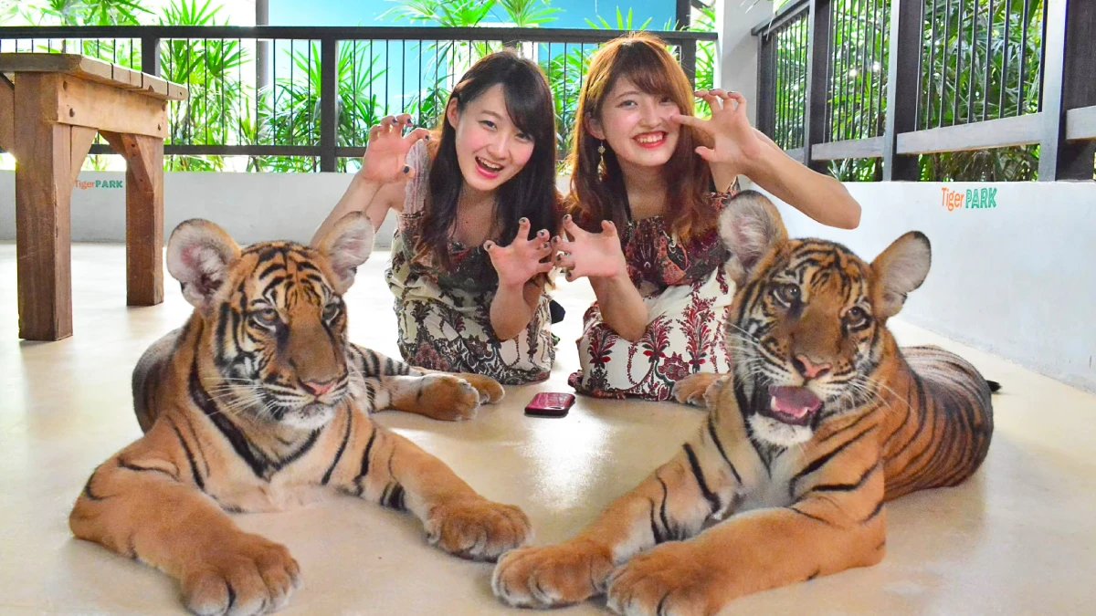 Day 4: Safari World & Marine Park